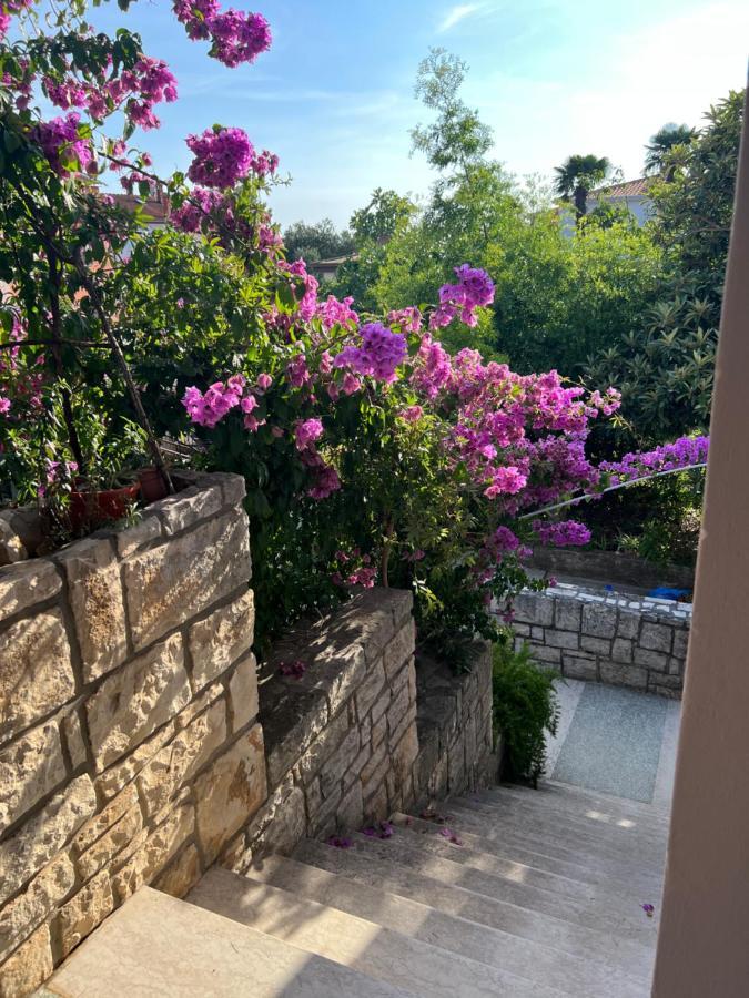 Paola Cozy Studio Rovinj Eksteriør billede